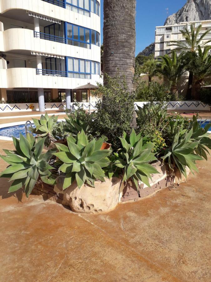 Appartement 1 à 4 personnes CALPE Espagne - Garage et WIFI gratuits Esterno foto